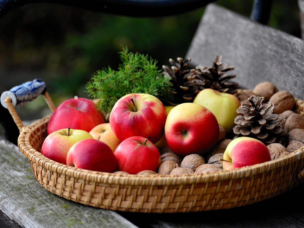 Variedades De Manzanas Para Sidra Artesanal Mejores Opciones